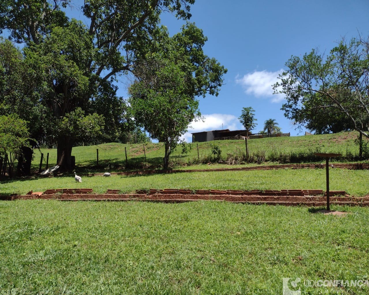 Fazenda à venda com 3 quartos - Foto 21