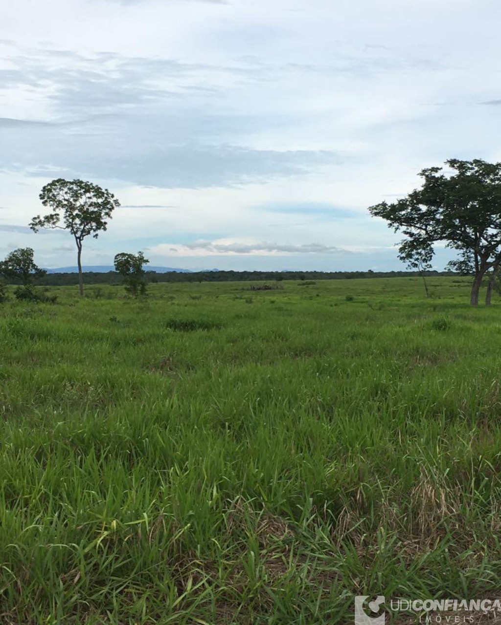 Fazenda à venda - Foto 6