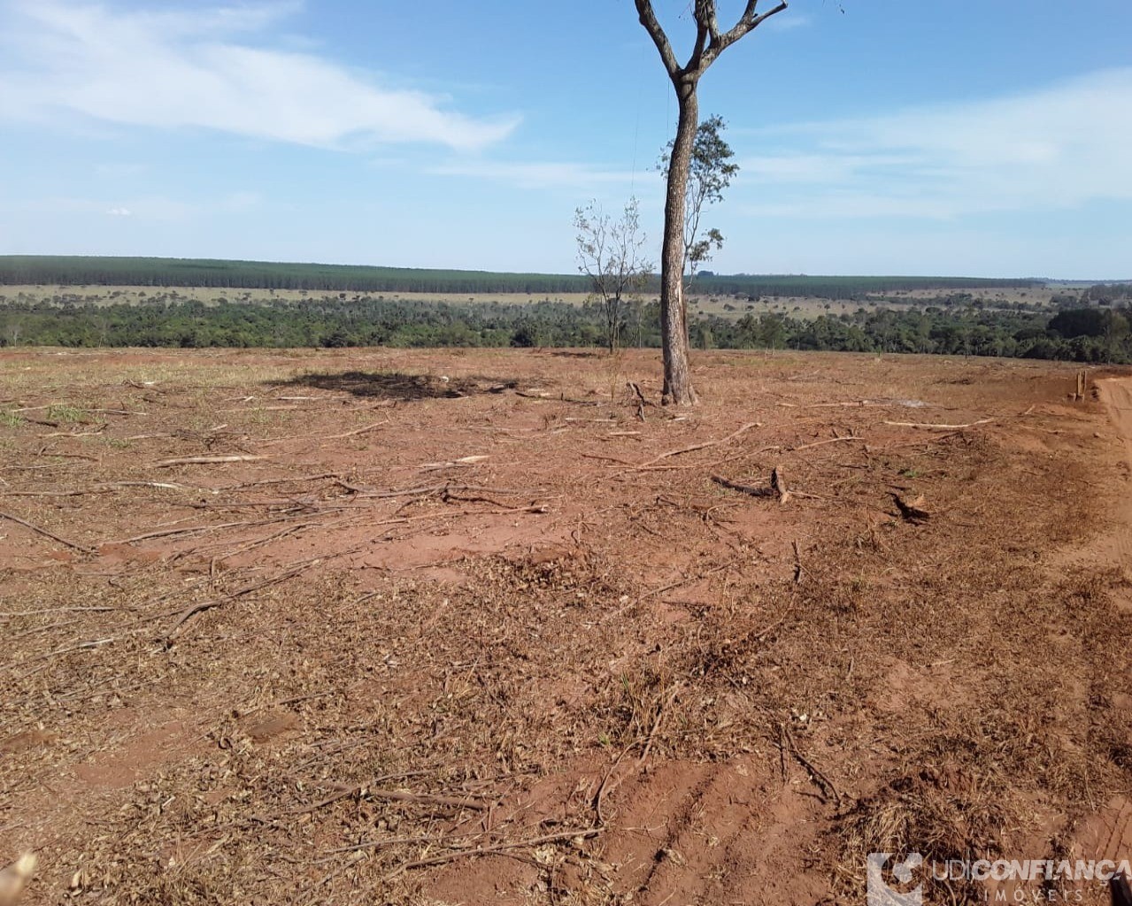 Fazenda à venda - Foto 7