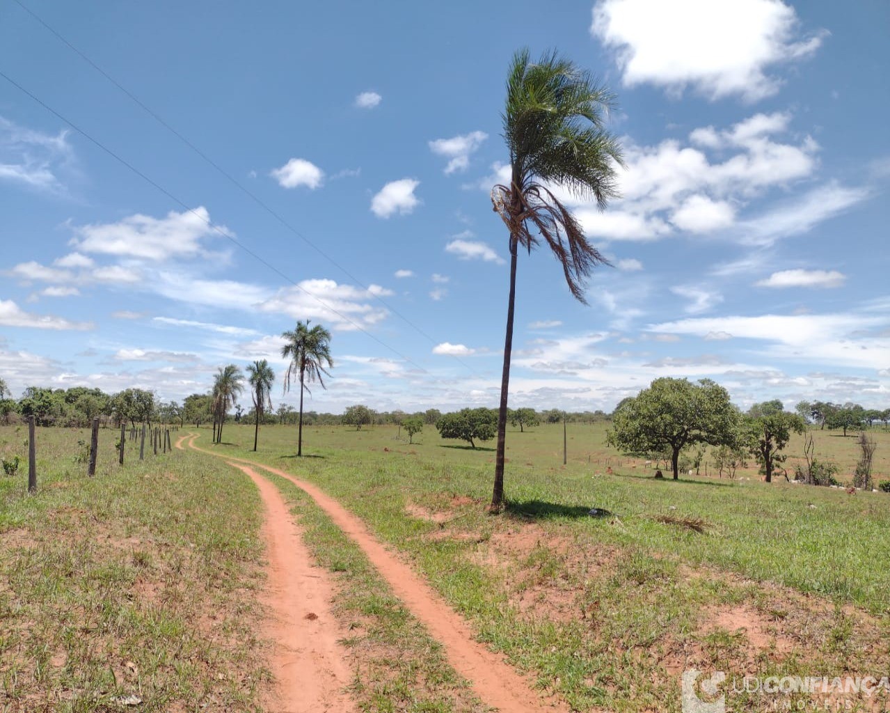 Fazenda à venda com 3 quartos - Foto 25