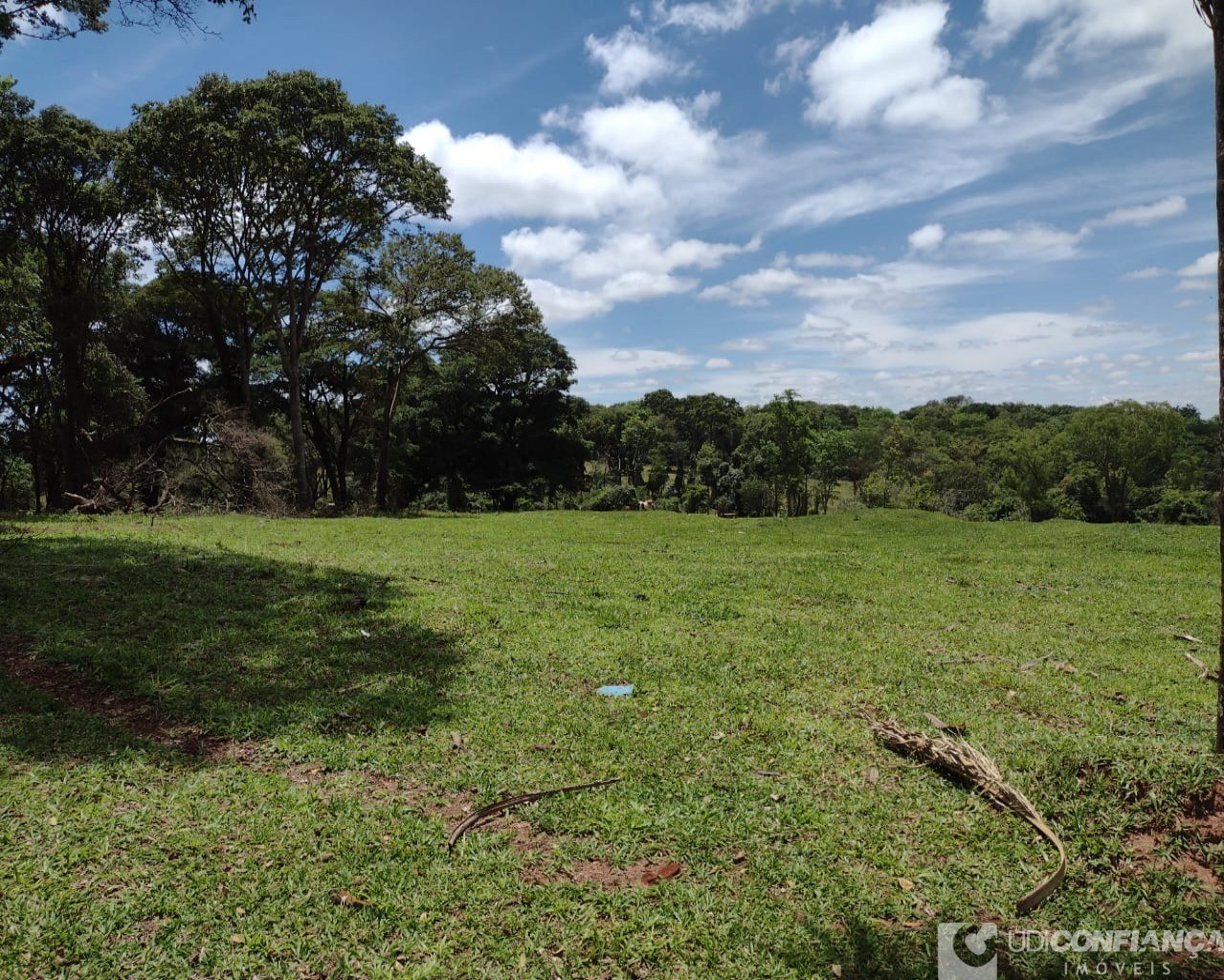 Fazenda à venda com 3 quartos - Foto 6