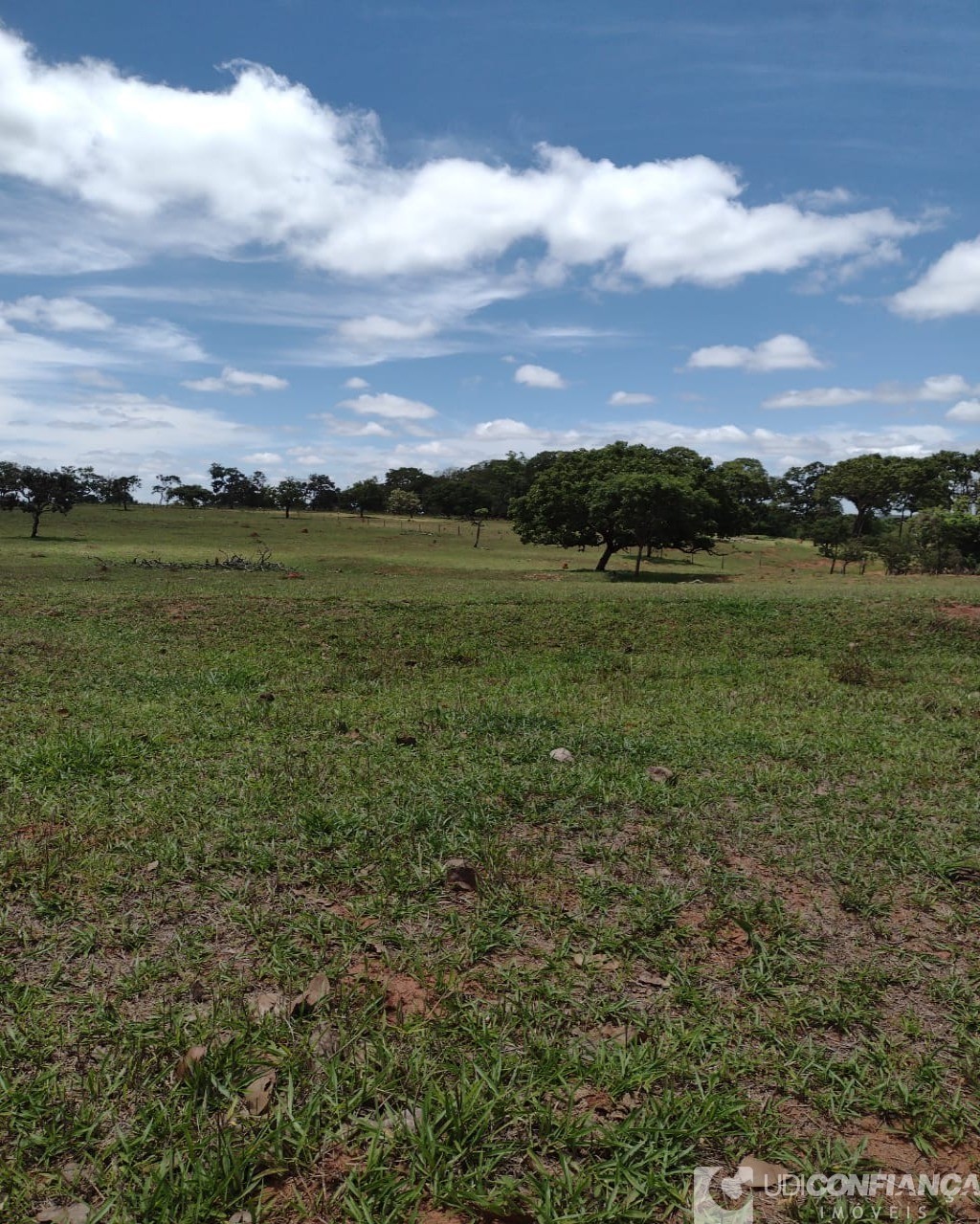 Fazenda à venda com 3 quartos - Foto 2