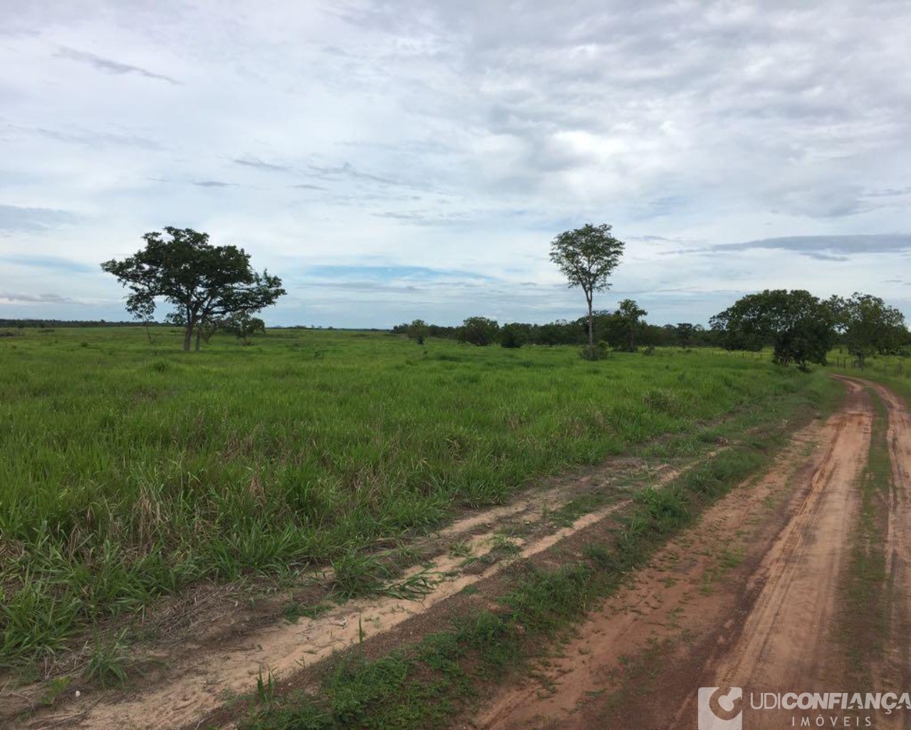 Fazenda à venda - Foto 3