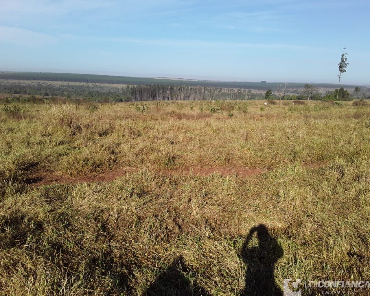 Fazenda à venda - Foto 8