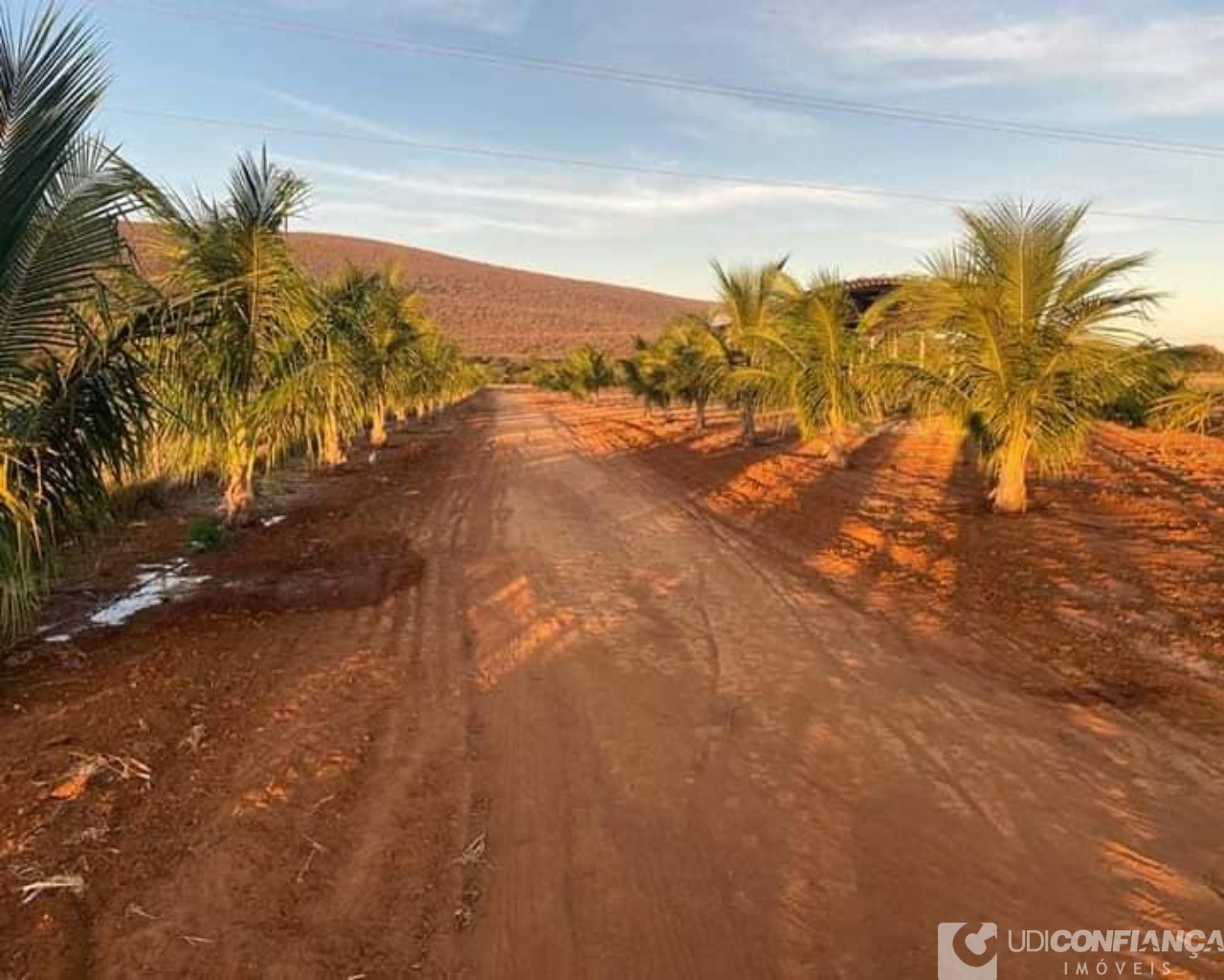 Fazenda à venda - Foto 6