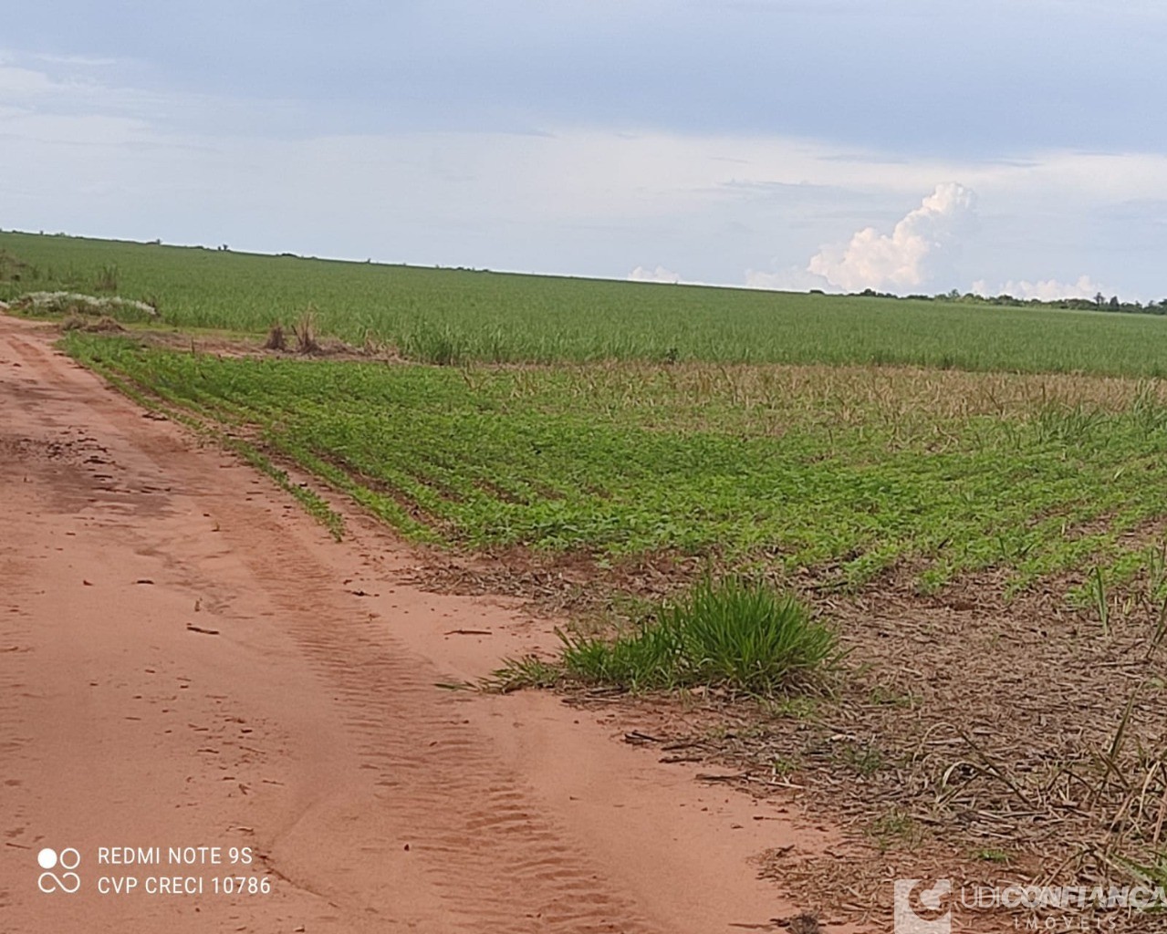 Fazenda à venda - Foto 1