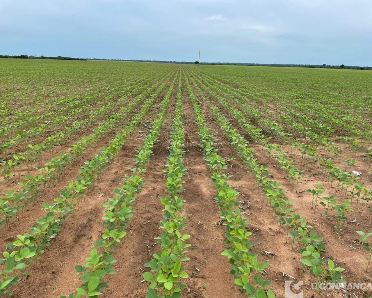 Fazenda à venda - Foto 27