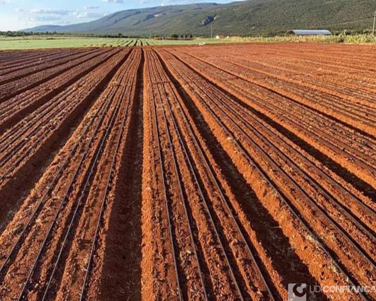 Fazenda à venda - Foto 9