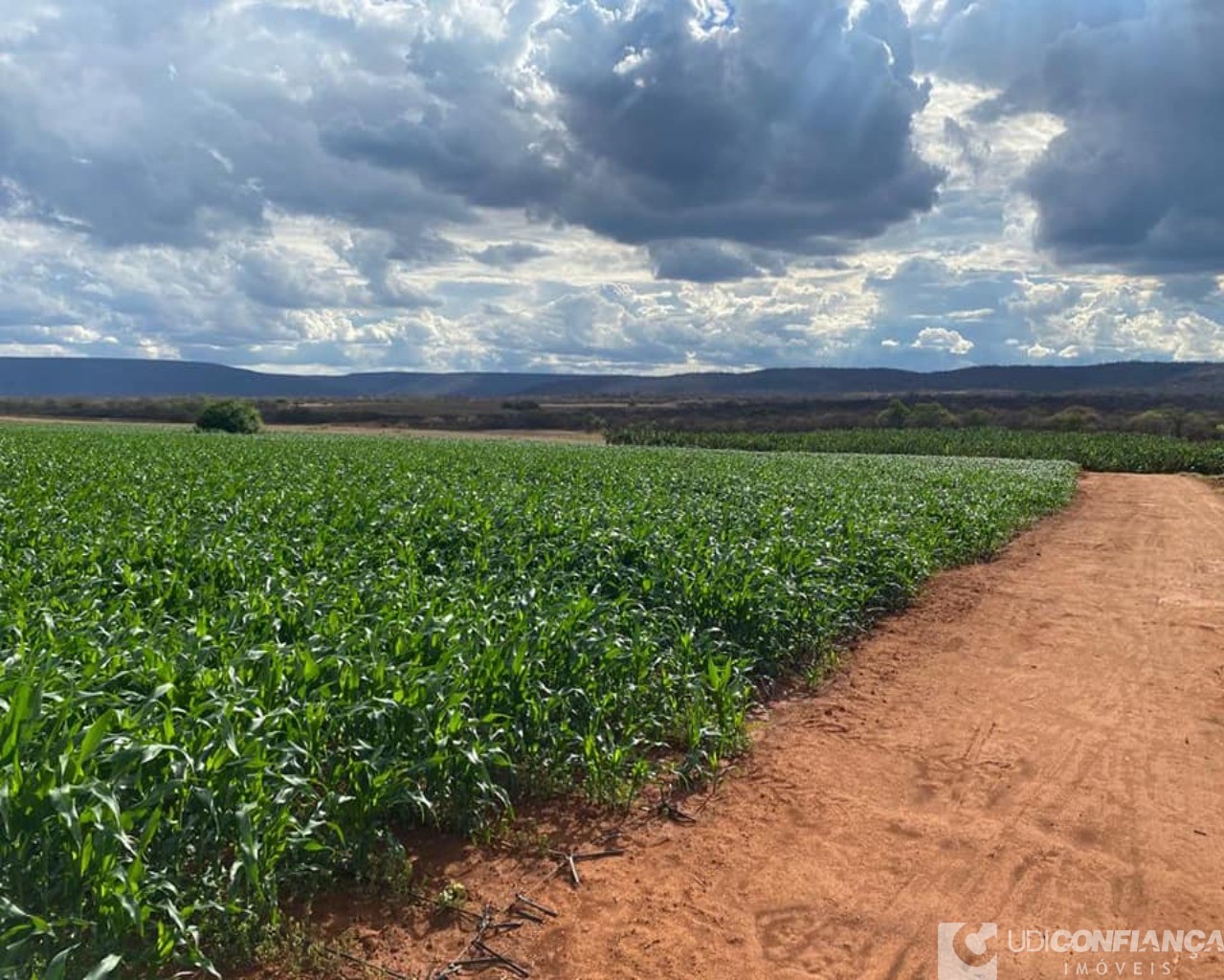 Fazenda à venda - Foto 25