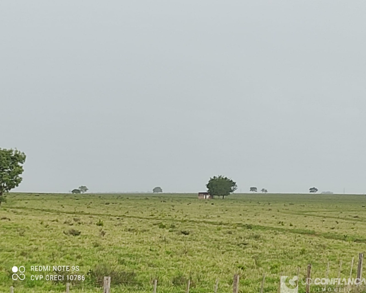 Fazenda à venda - Foto 3