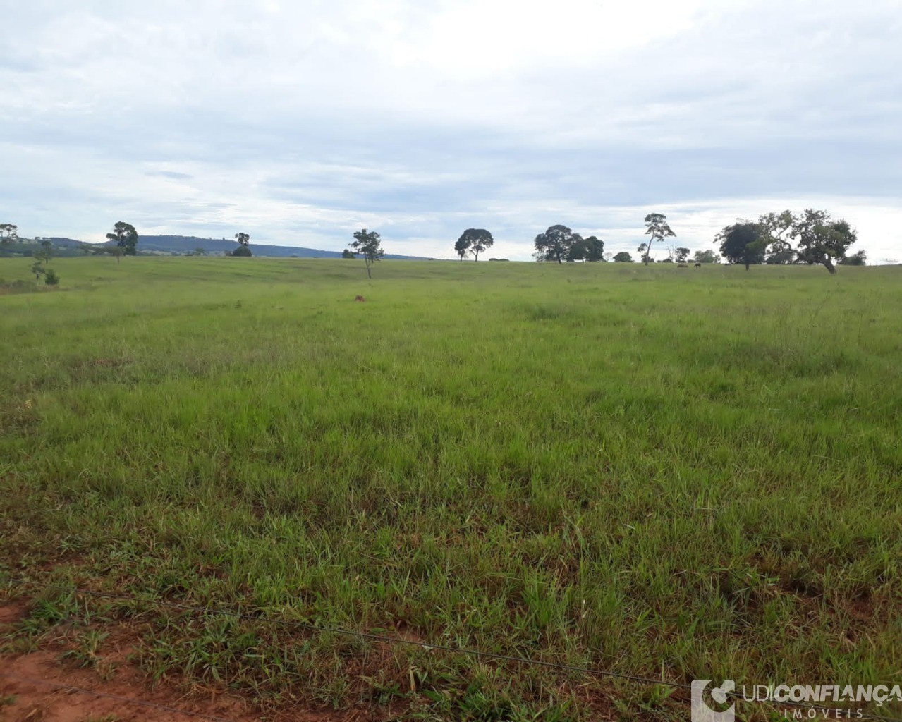 Fazenda à venda - Foto 3