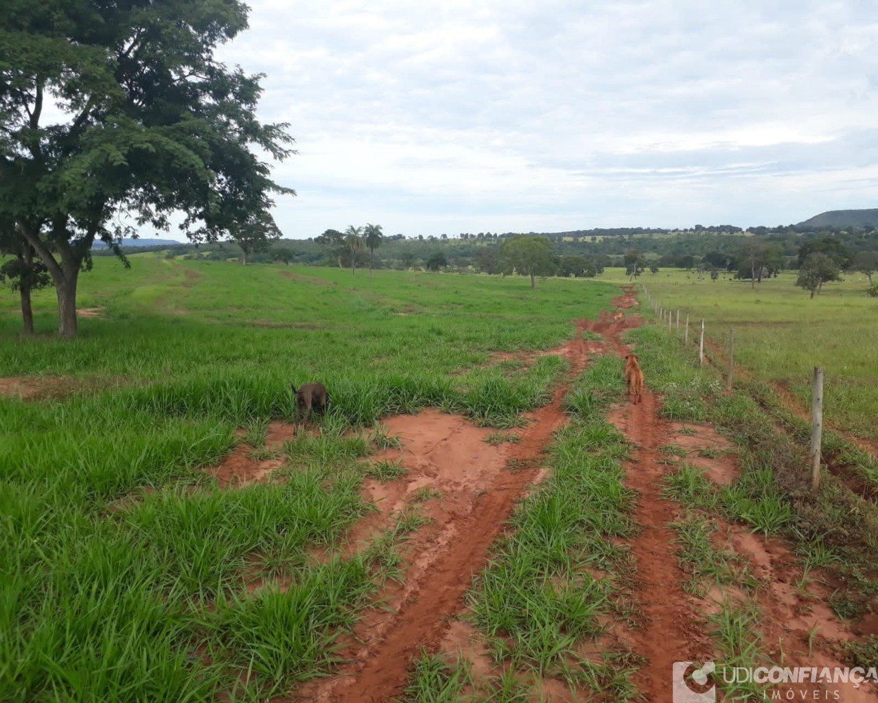 Fazenda à venda - Foto 2