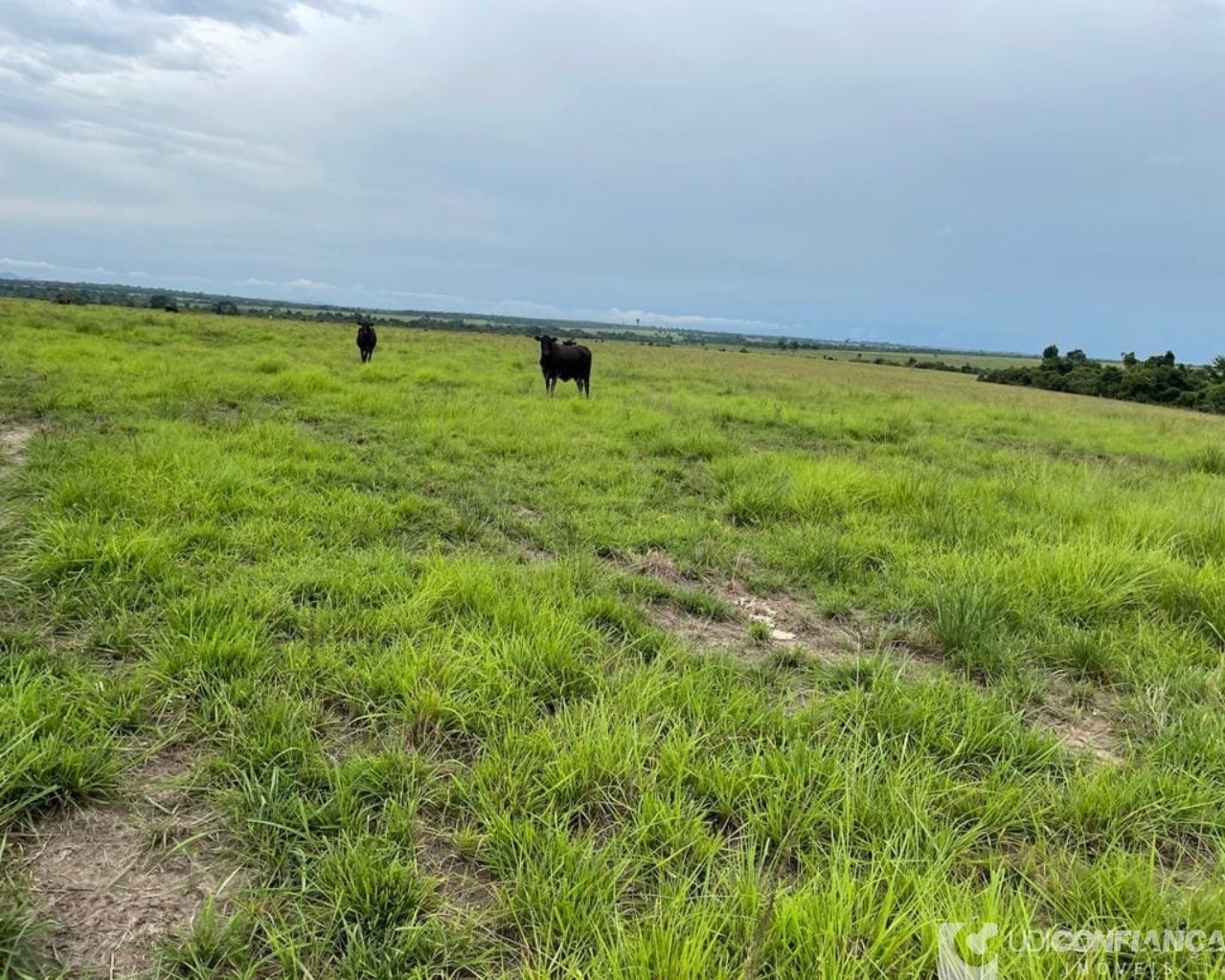 Fazenda à venda - Foto 24