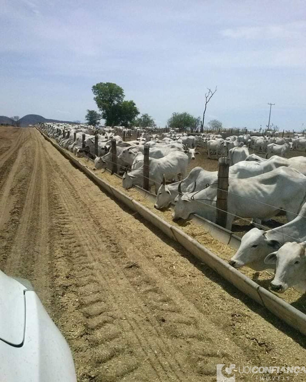 Fazenda à venda - Foto 2