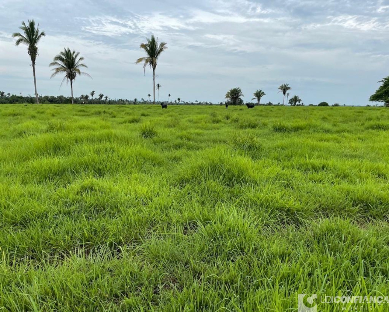 Fazenda à venda - Foto 21