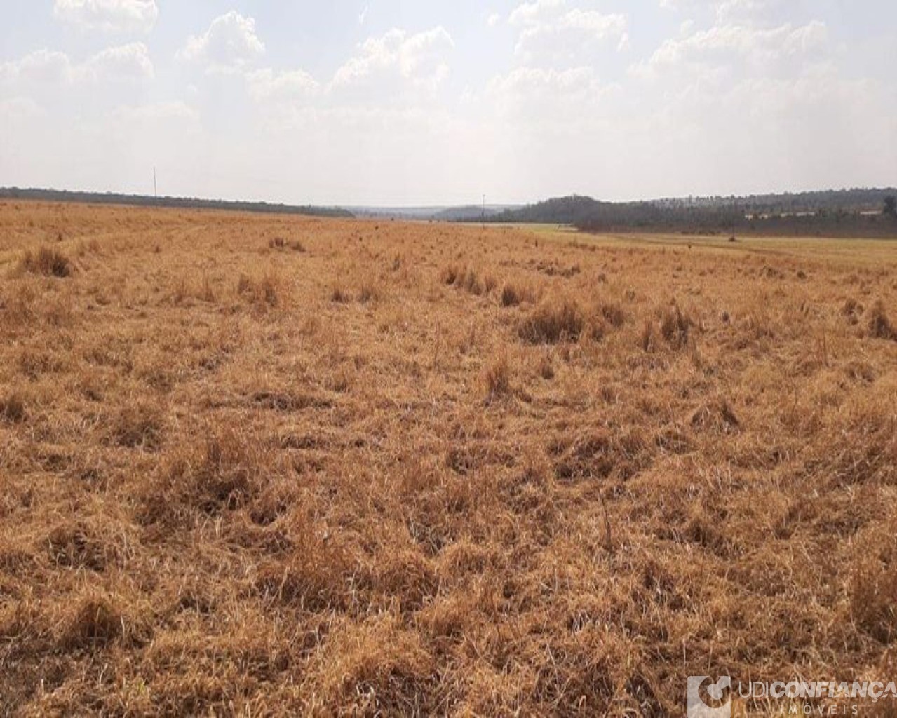 Fazenda à venda - Foto 6