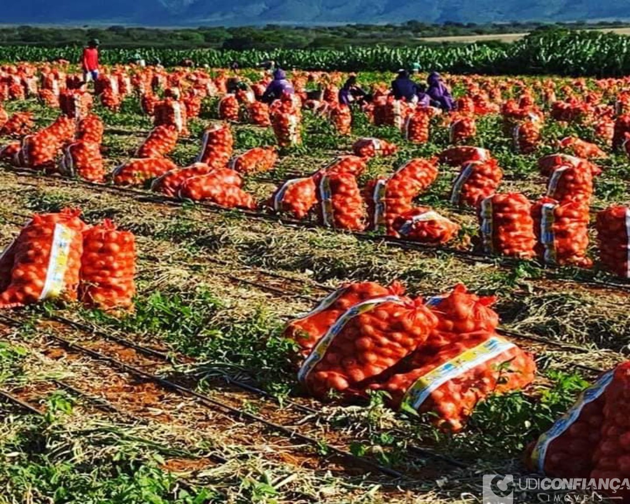 Fazenda à venda - Foto 16