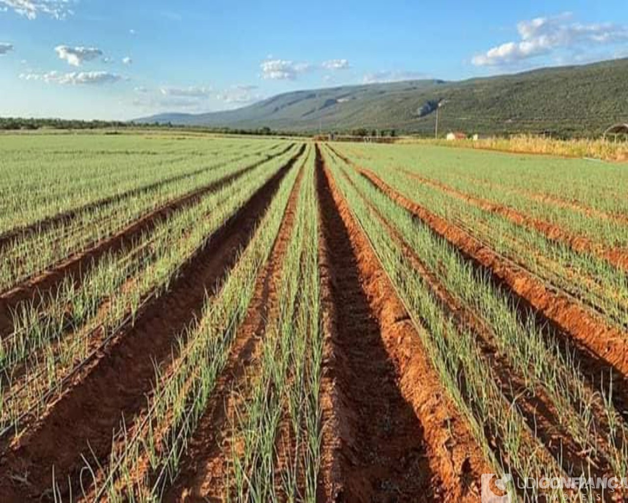 Fazenda à venda - Foto 13