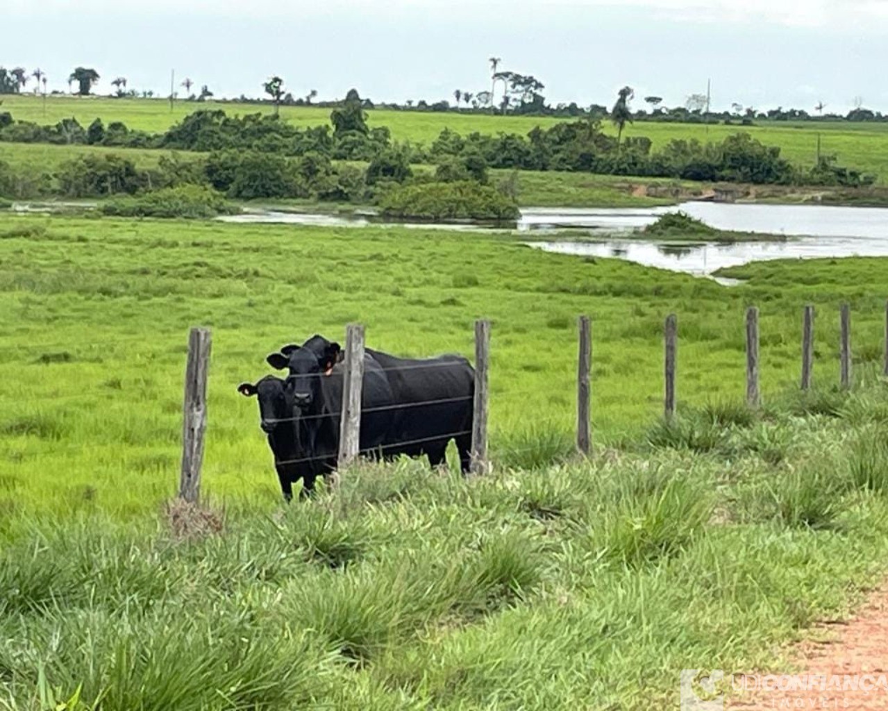 Fazenda à venda - Foto 34