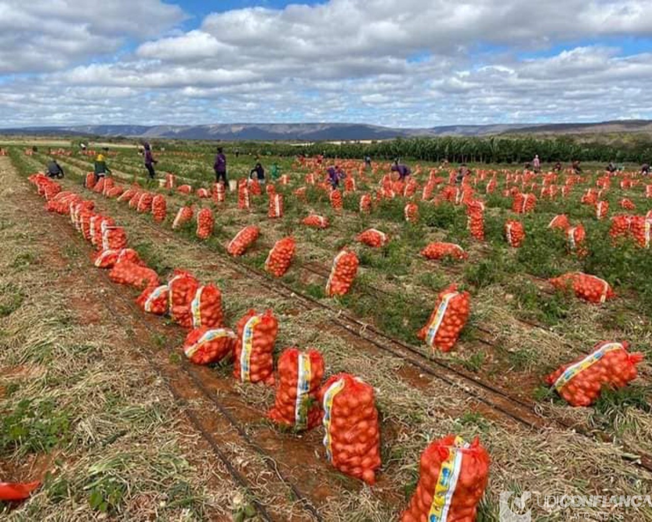 Fazenda à venda - Foto 14