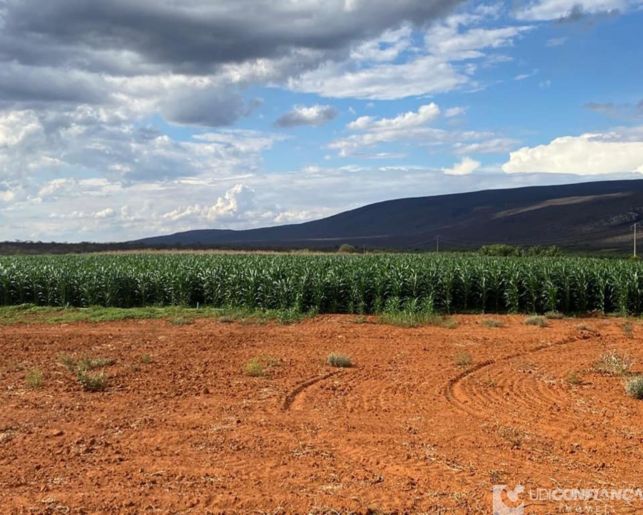 Fazenda à venda - Foto 22