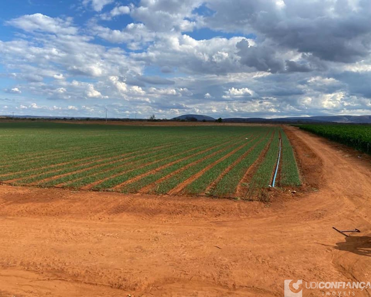 Fazenda à venda - Foto 27