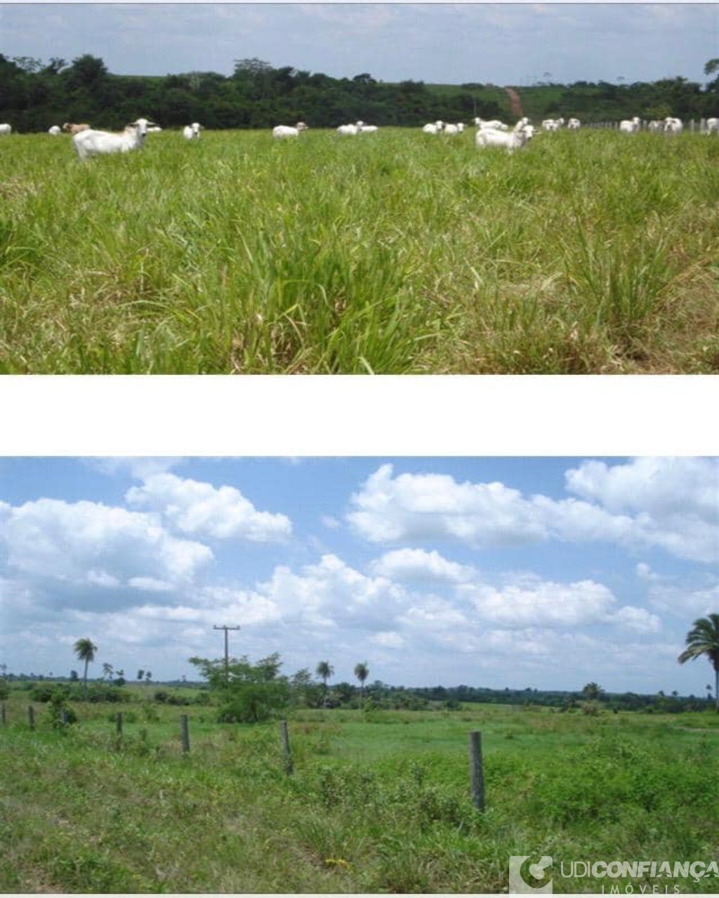 Fazenda à venda - Foto 7