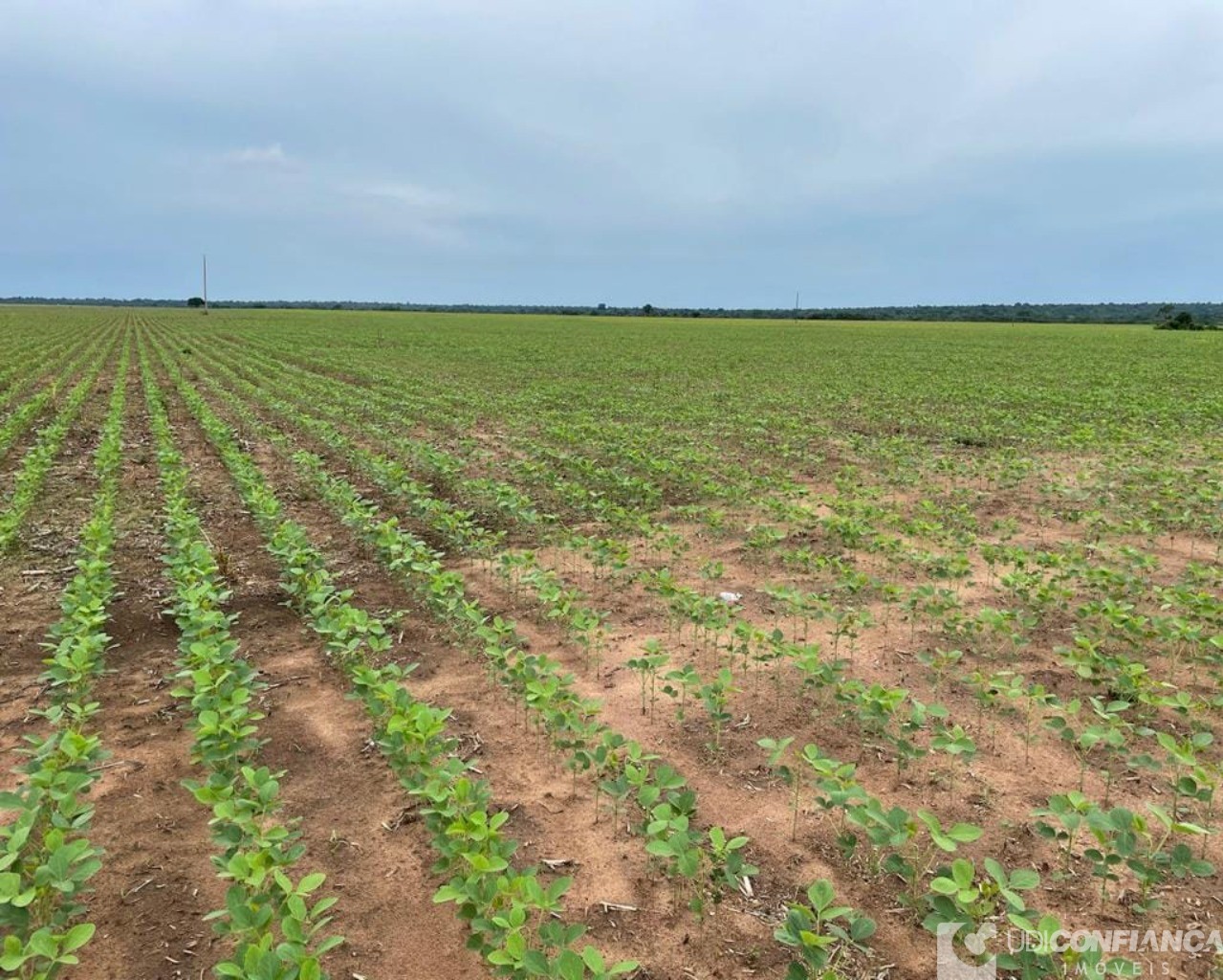 Fazenda à venda - Foto 31