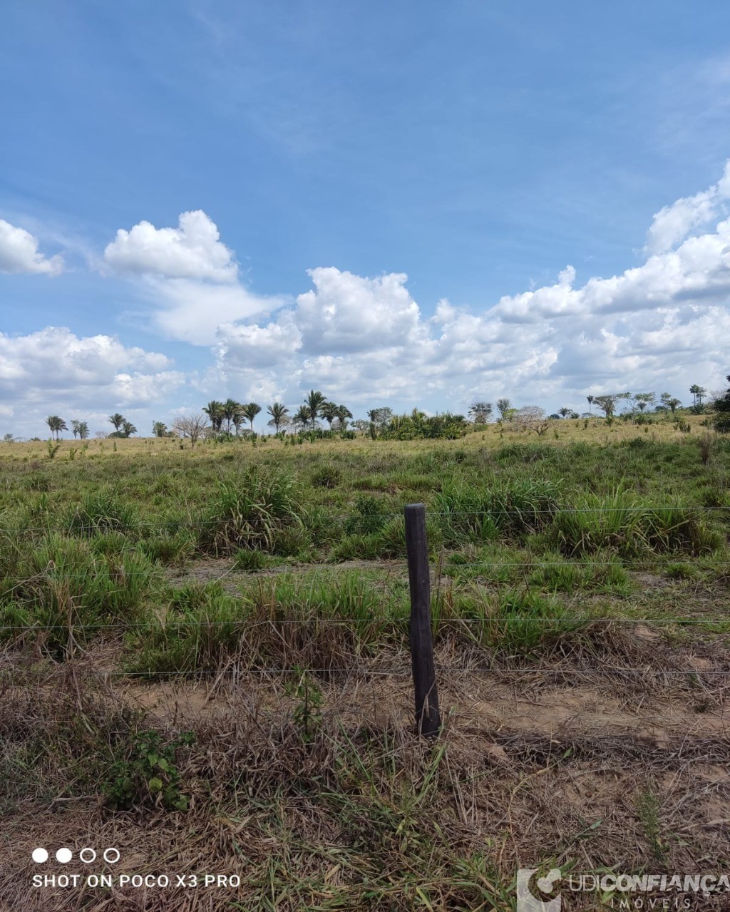 Fazenda à venda - Foto 3