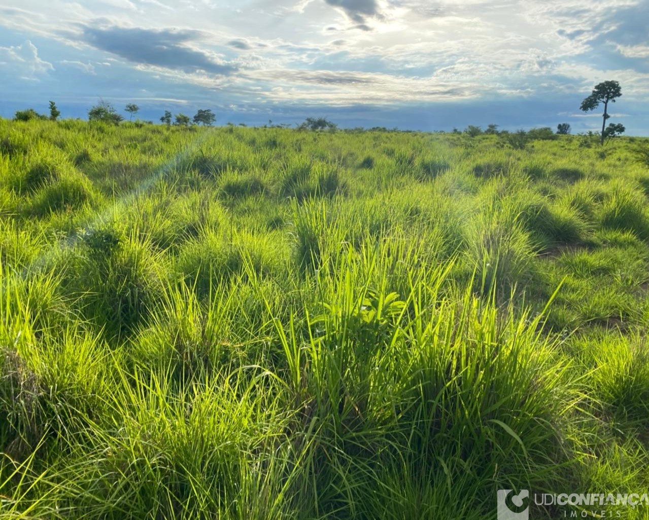 Fazenda à venda - Foto 9