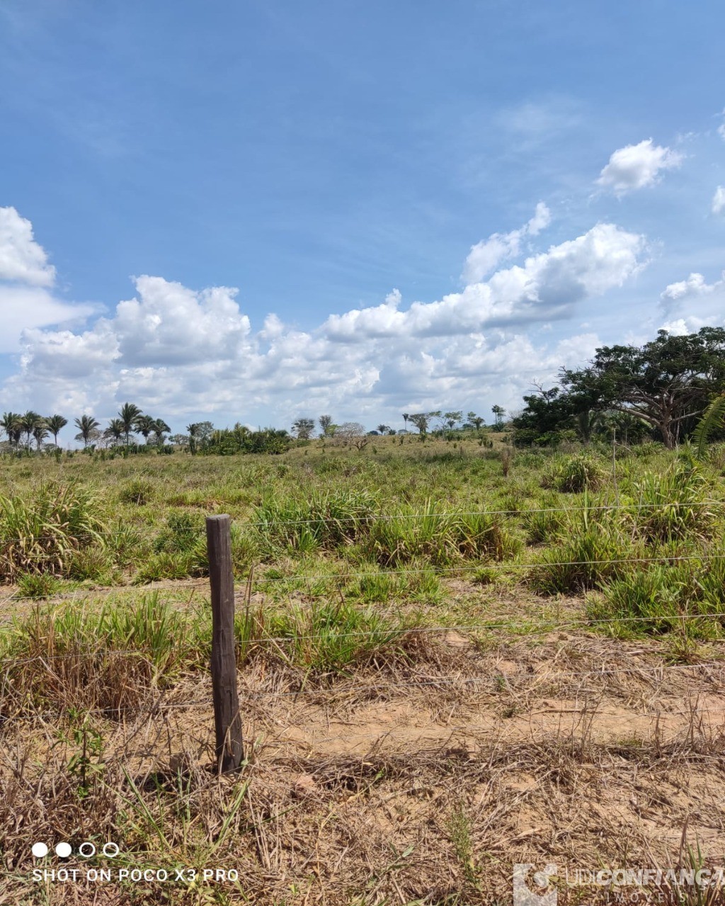 Fazenda à venda - Foto 6