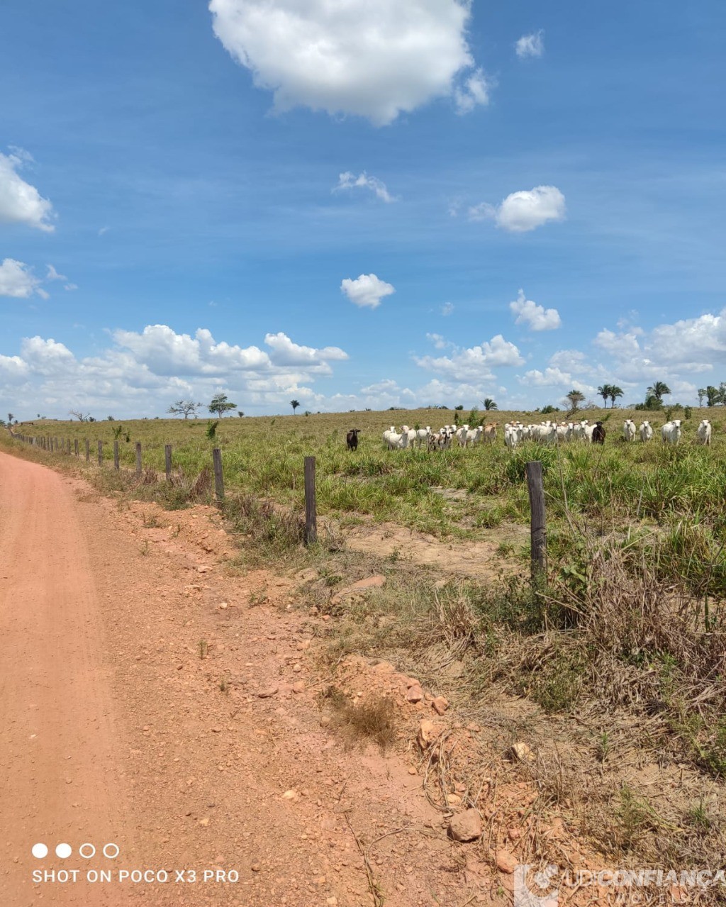 Fazenda à venda - Foto 7