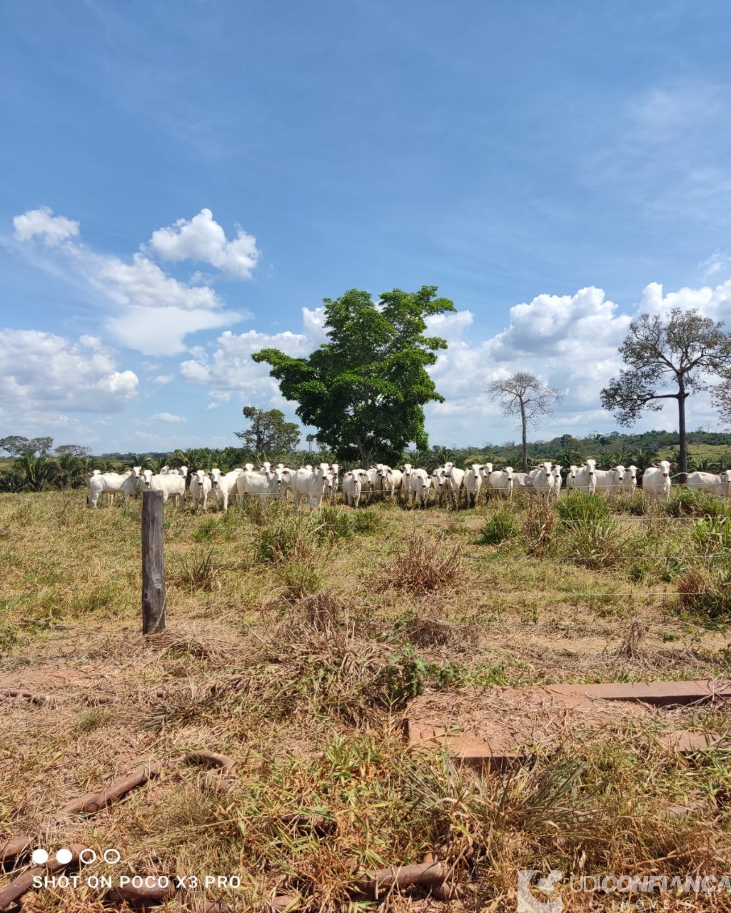 Fazenda à venda - Foto 9