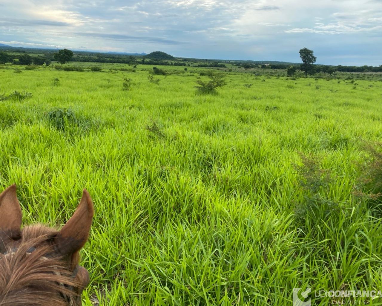 Fazenda à venda - Foto 7