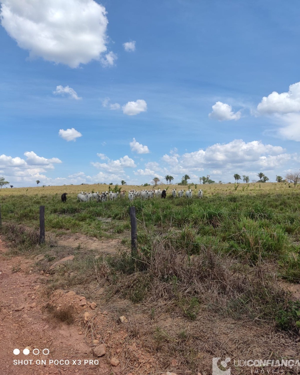 Fazenda à venda - Foto 4