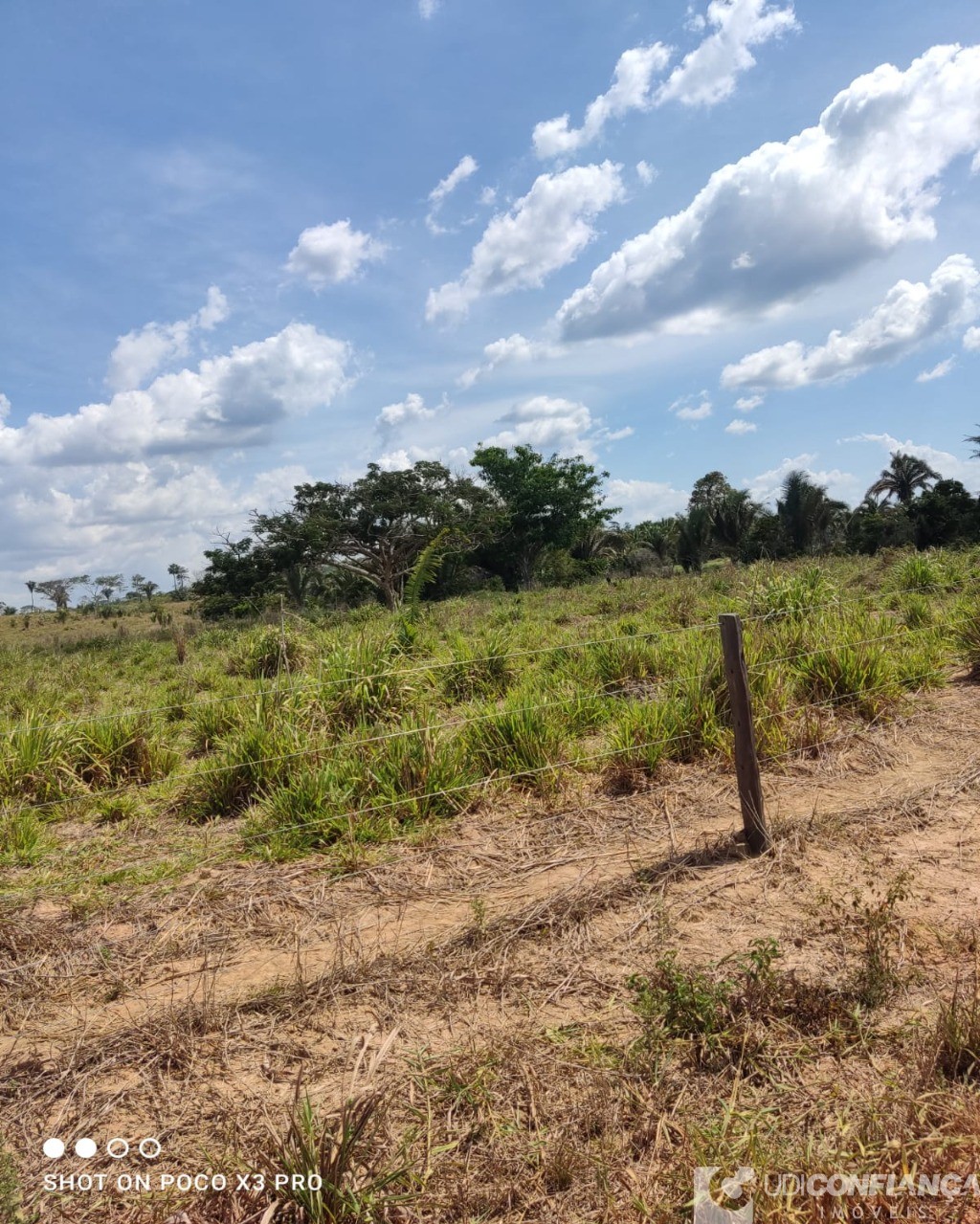 Fazenda à venda - Foto 8