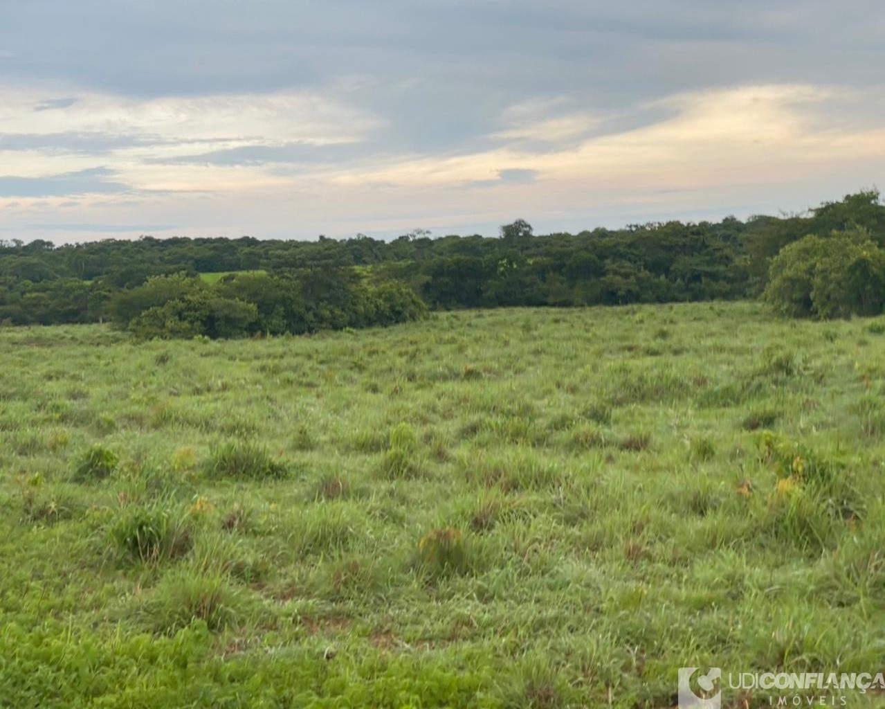 Fazenda à venda - Foto 10