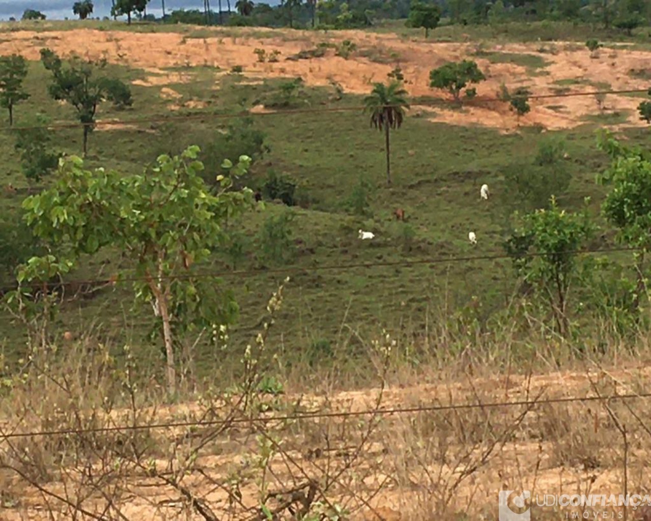 Fazenda à venda - Foto 10