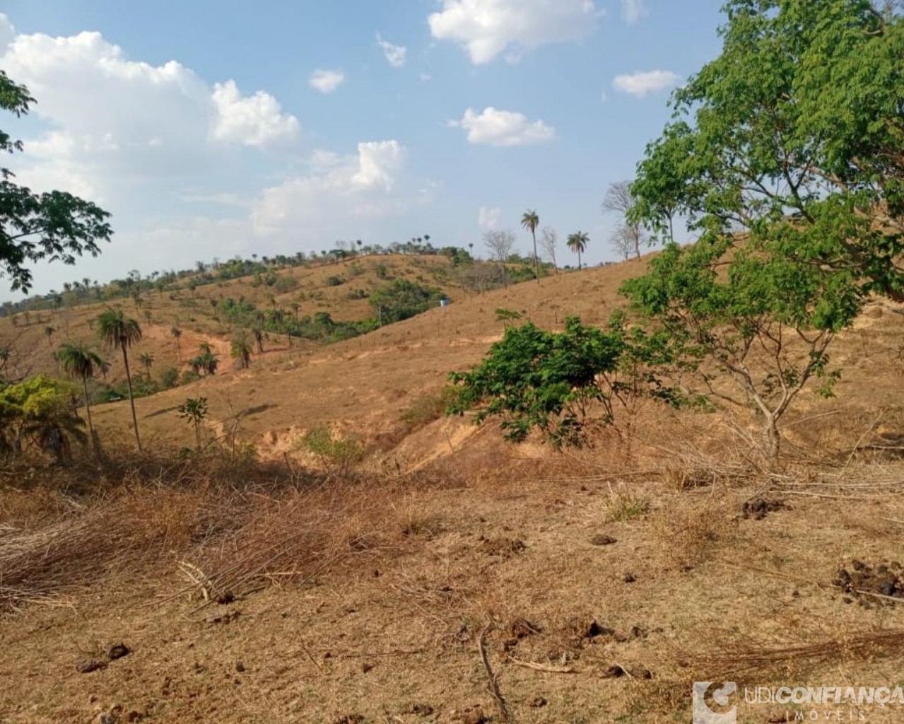 Fazenda à venda - Foto 8