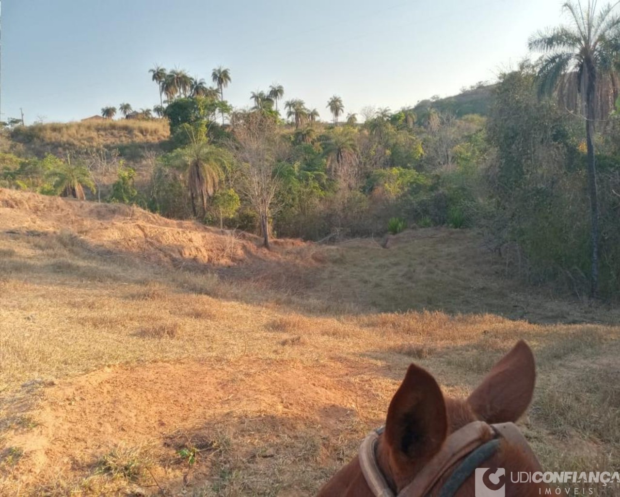 Fazenda à venda - Foto 11