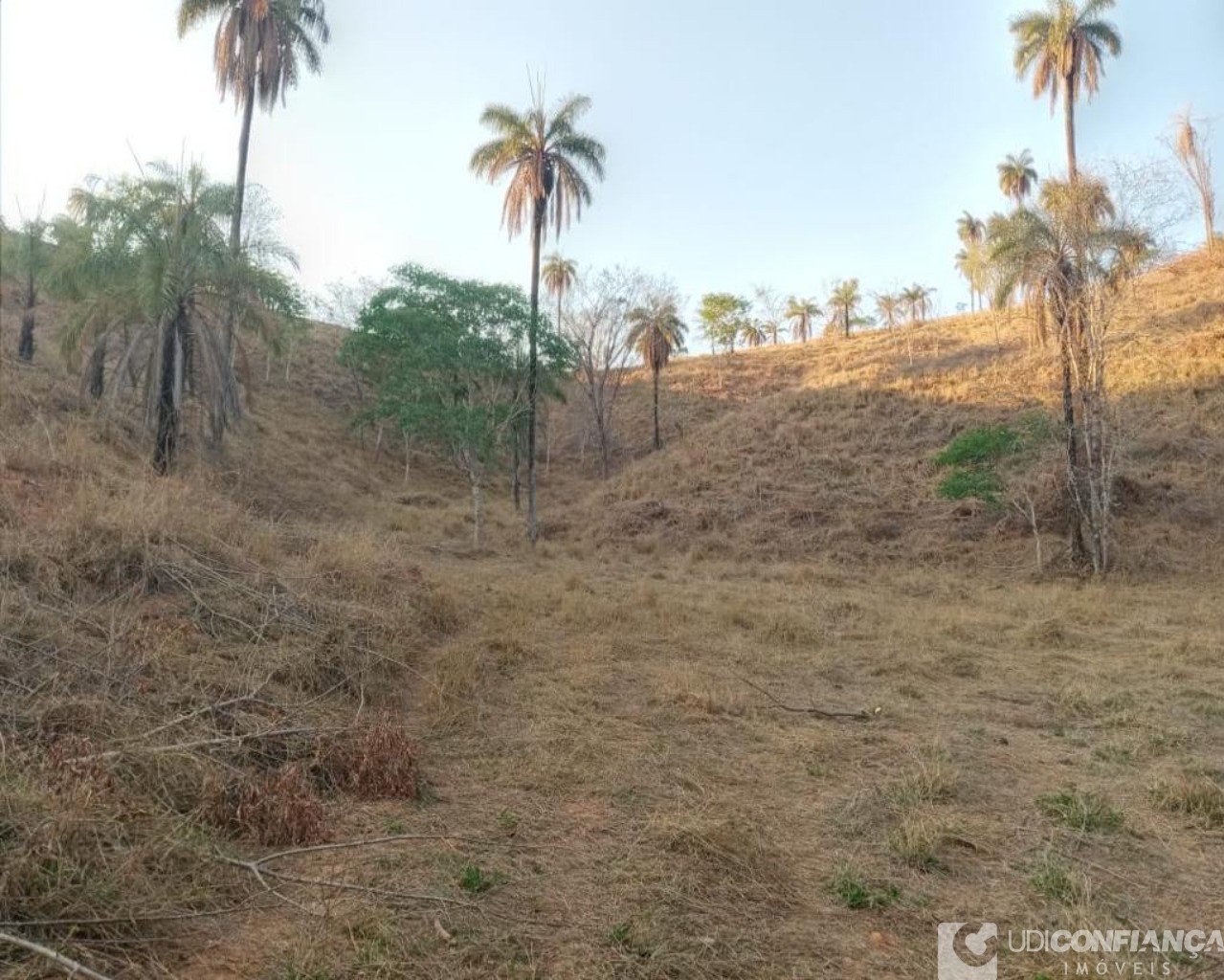 Fazenda à venda - Foto 3