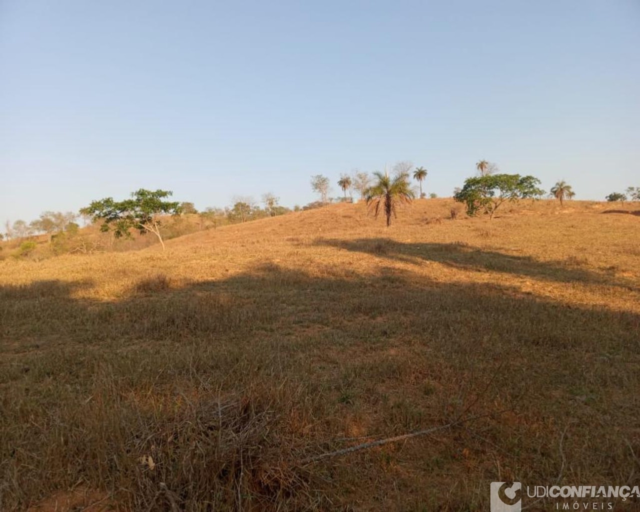 Fazenda à venda - Foto 5