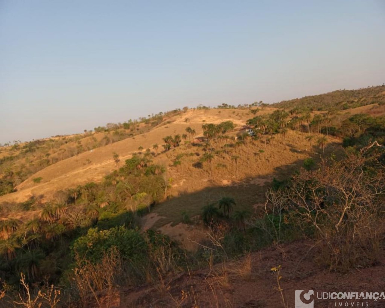 Fazenda à venda - Foto 6