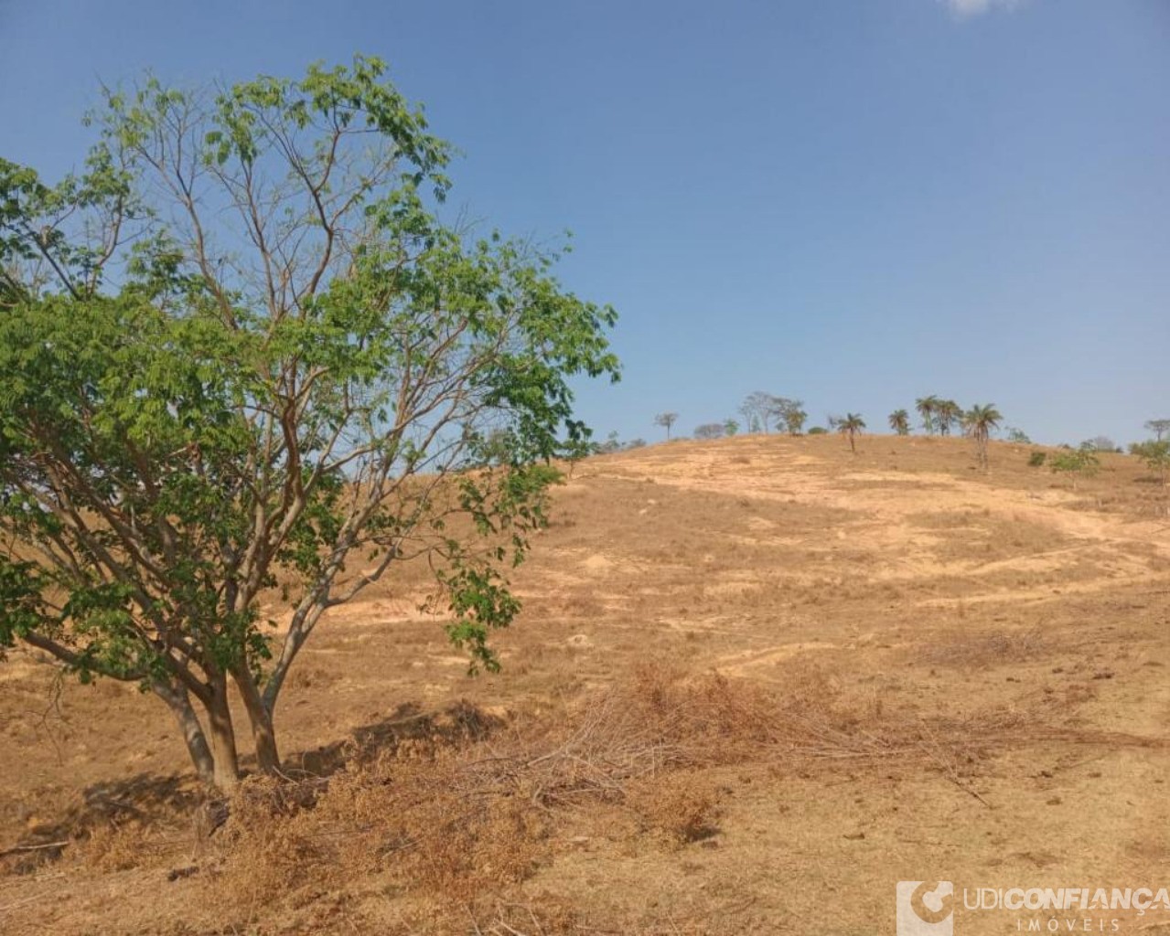 Fazenda à venda - Foto 9