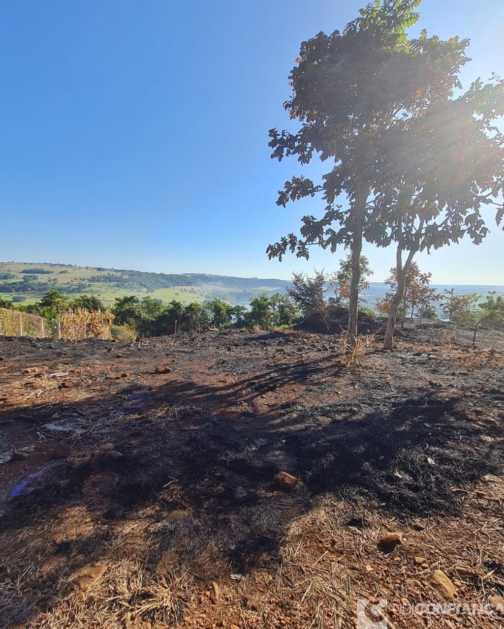 Fazenda à venda - Foto 8