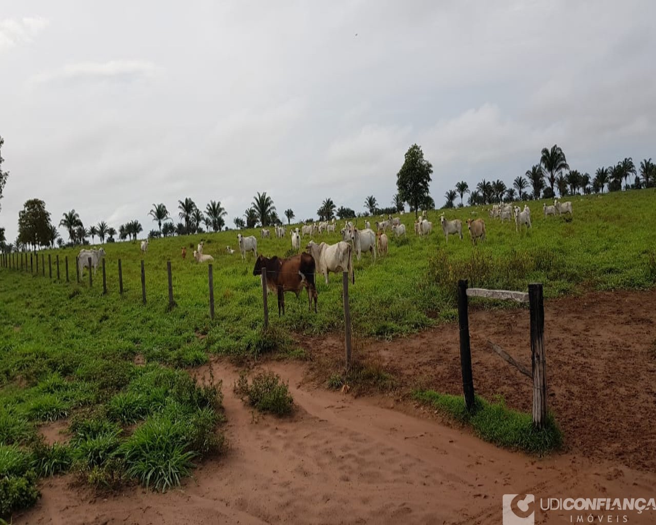 Fazenda à venda, 600m² - Foto 17