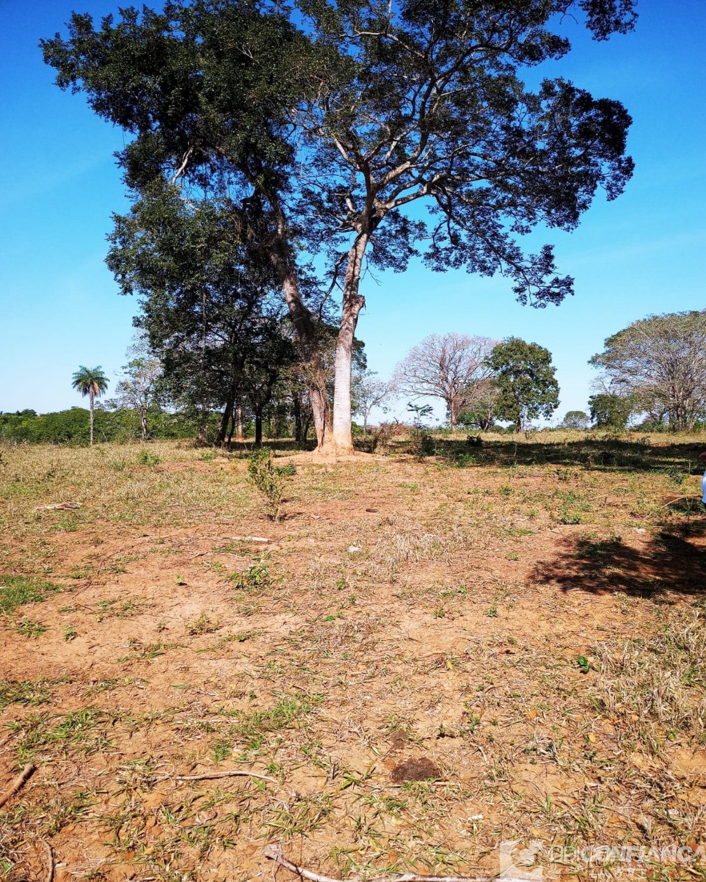 Fazenda à venda - Foto 8