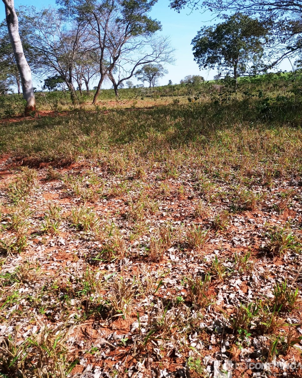 Fazenda à venda - Foto 7