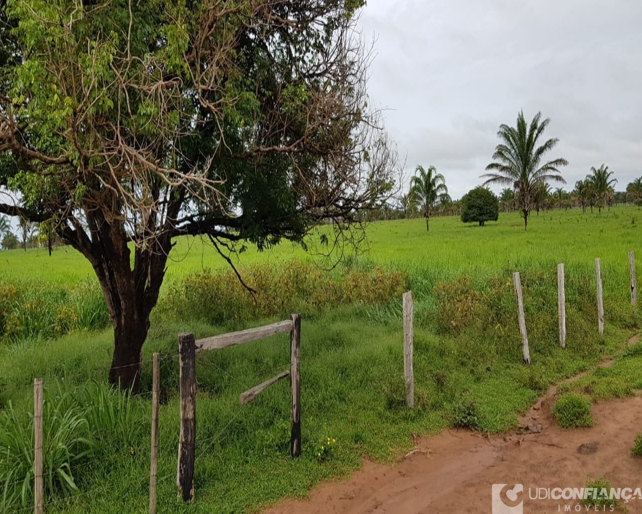 Fazenda à venda, 600m² - Foto 22