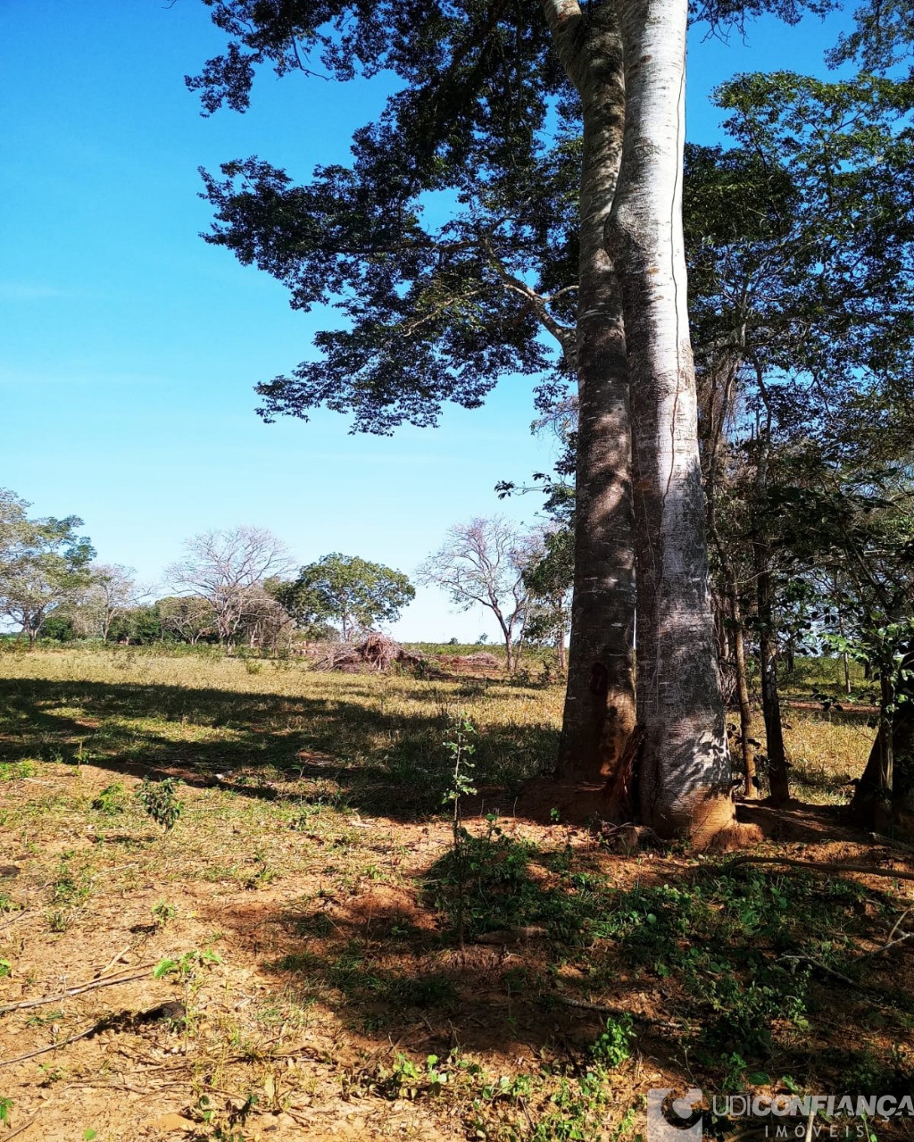 Fazenda à venda - Foto 9